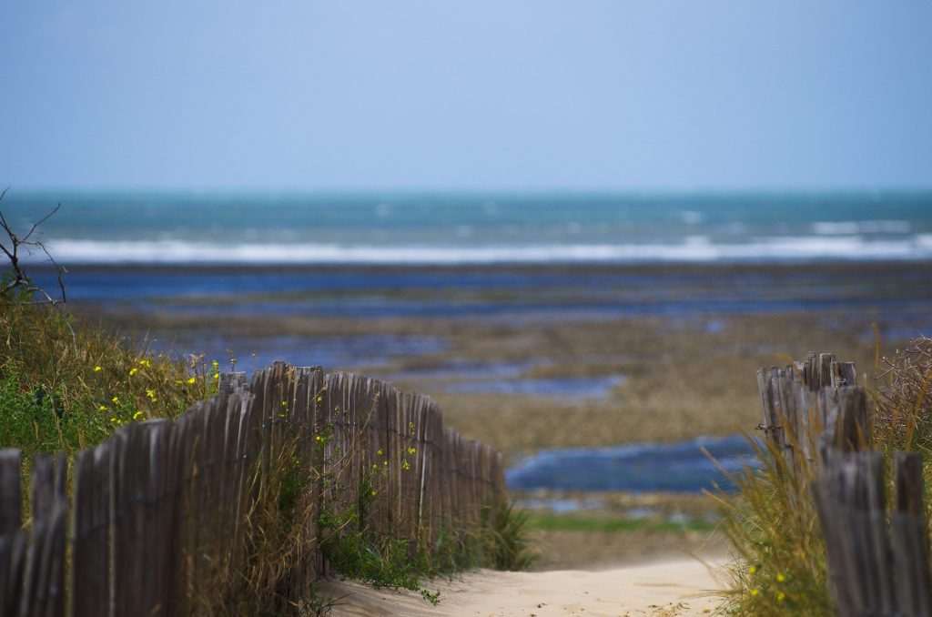 Caprice, Ile de Re, Ile-de-Re, Urlaub, Ferienhaus, Villa, modern, komfortabel, Pool, Französische Insel, Frankreich, Atlantik, Traumurlaub, Holiday, holiday house, villa, modern, comfortable, pool, french island, france, atlantic ocean, dream vacation,Vacances, maison de vacances, villa, moderne, confortable, piscine, france, atlantique, vacances de rêve